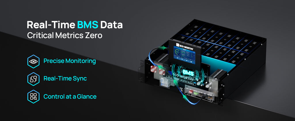 ECO-WORTHY ESM100 Battery Monitor for Cubix Series and Wall-Mount Batteries