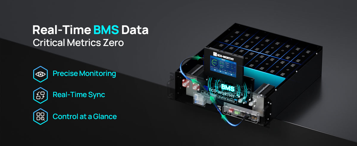 ECO-WORTHY ESM100 Battery Monitor for Cubix Series and Wall-Mount Batteries