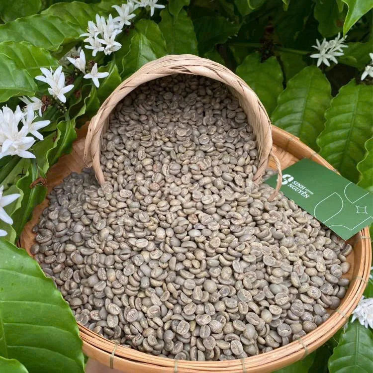 Sinh Nguyen Vietnam Arabica Honey Washed Organic Green Coffee Beans Premium Grade 50kg Bag Bulk Wholesale Export Ready 24 Months