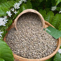 Sinh Nguyen Vietnam Arabica Honey Washed Organic Green Coffee Beans Premium Grade 50kg Bag Bulk Wholesale Export Ready 24 Months