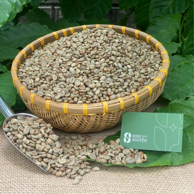 Sinh Nguyen Vietnam Arabica Honey Washed Organic Green Coffee Beans Premium Grade 50kg Bag Bulk Wholesale Export Ready 24 Months