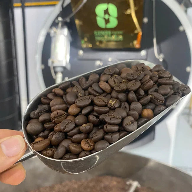 Premium Sweet Taste Medium Roast Coffee Beans Vietnam FIN CLASSIC Blend Robusta Arabica Bag Bulk Wholesale OEM Export