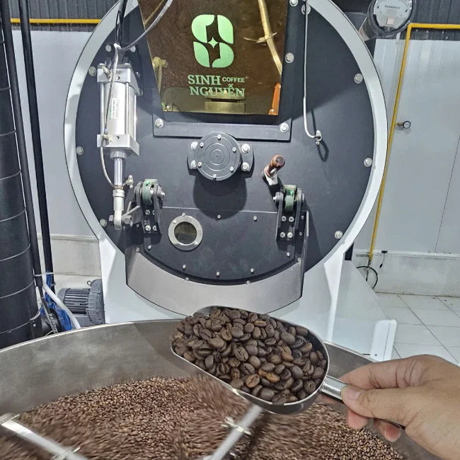 Sinh Nguyen Coffee Vietnam Robusta Arabica Blend Coffee Beans-Premium Wholesome Sweet Taste 2-Layer Valve Bag Packaging Roasted