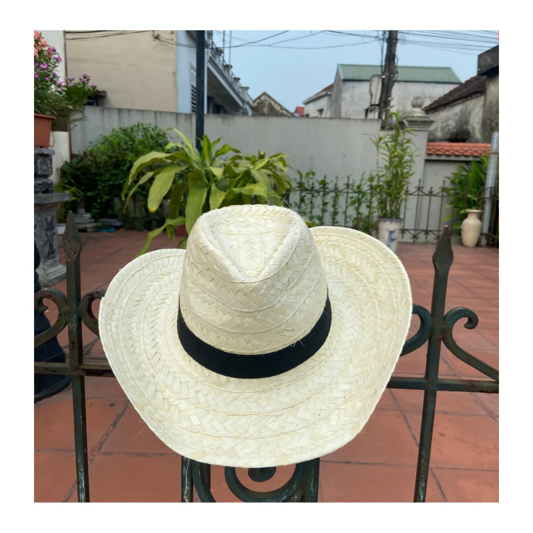 Party Ready Mexican Straw Hat From Vietnam Fun Straw Hat for Events and Casual Occasions