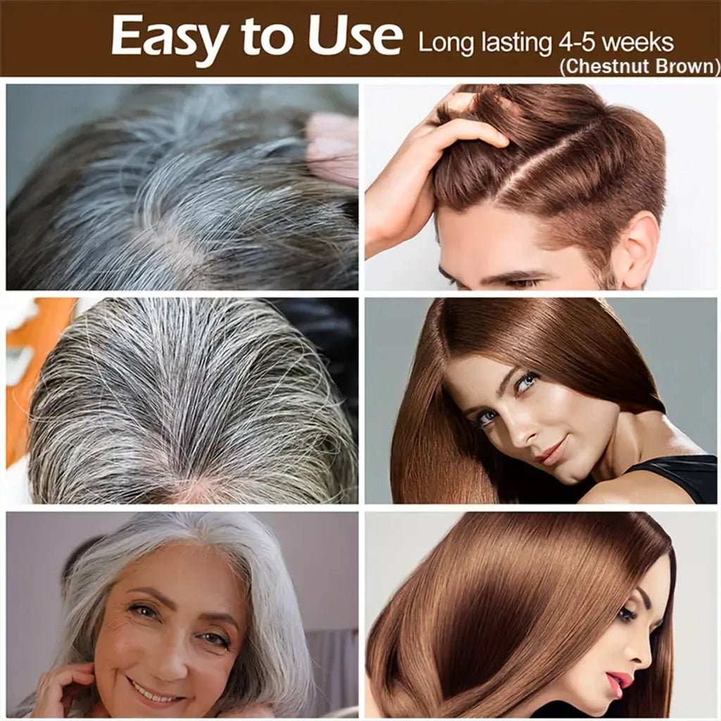 Water Ice Levin Natural Brown Hair Dye Shampoo 100ml Ginger Ginseng Oil Mild Coloring Smooth Frizzy Hair Care