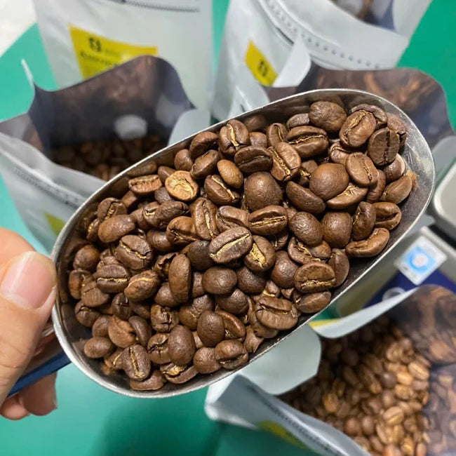 Arabica Green Coffee Beans Premium Honey Washed Process Fruity Sweet Aroma Vietnam 60kg Bag for Roasting Sinh Nguyen 24-Month
