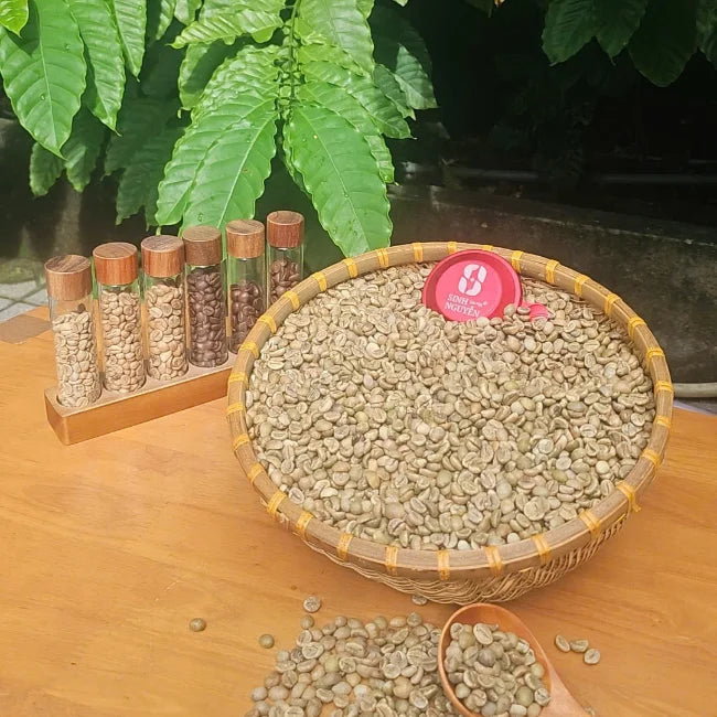 High-Grade Robusta Coffee Beans Green Processed with Honey Method Clean and Global Buyers' Favourite Sinh Nguyen Coffee 60kg/bag