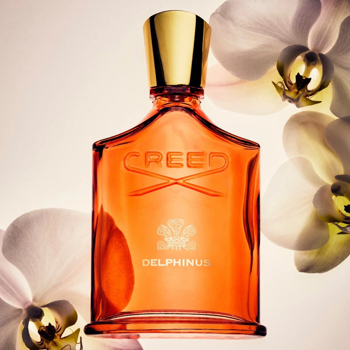 Delphinus Creed for Women Fragrance 100ml/3.3 fl.oz