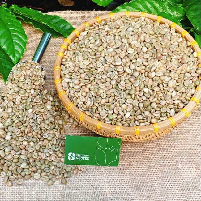 High-Grade Robusta Coffee Beans Green Processed with Honey Method Clean and Global Buyers' Favourite Sinh Nguyen Coffee 60kg/bag