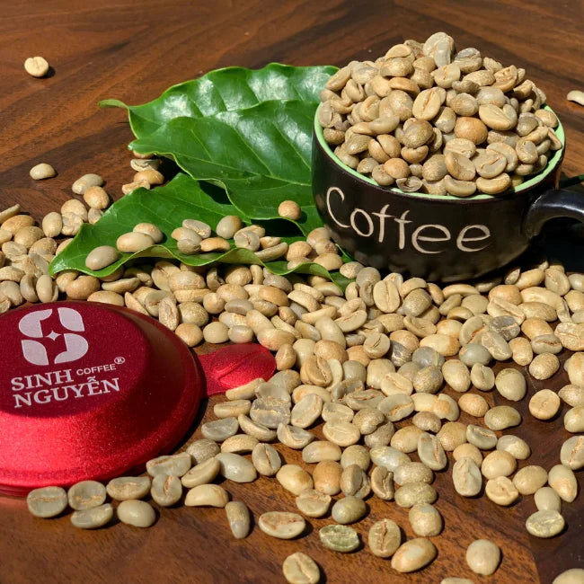 Sinh Nguyen Vietnam Arabica Honey Washed Organic Green Coffee Beans Premium Grade 50kg Bag Bulk Wholesale Export Ready 24 Months