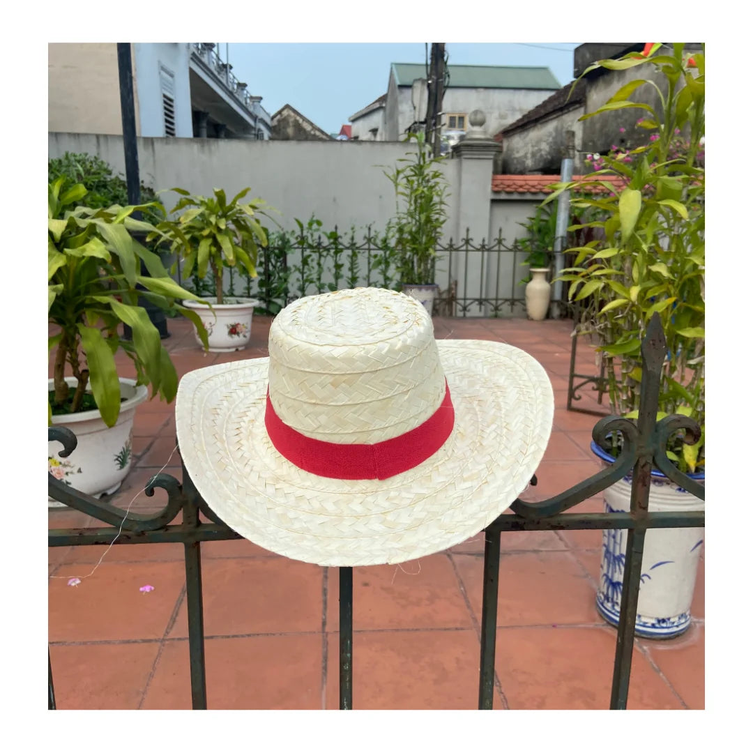 Party Ready Mexican Straw Hat From Vietnam Fun Straw Hat for Events and Casual Occasions