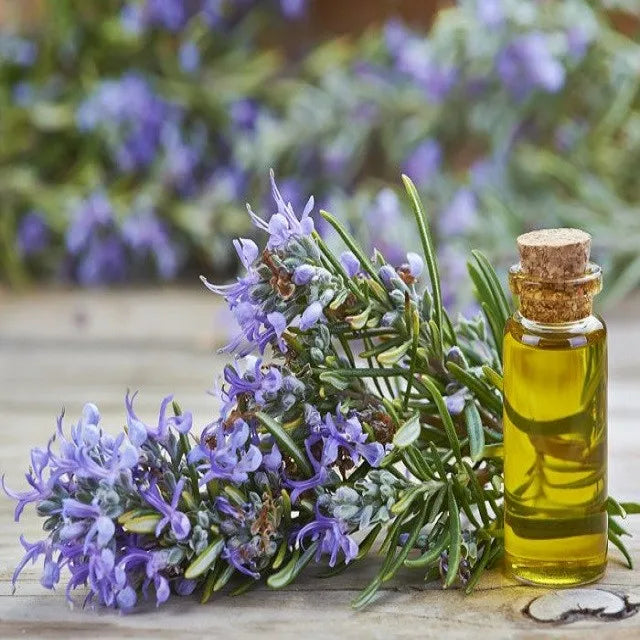 High Quality 100% Pure Fresh Rosemary Essential Oil Skin Revitalizer Supplied From India