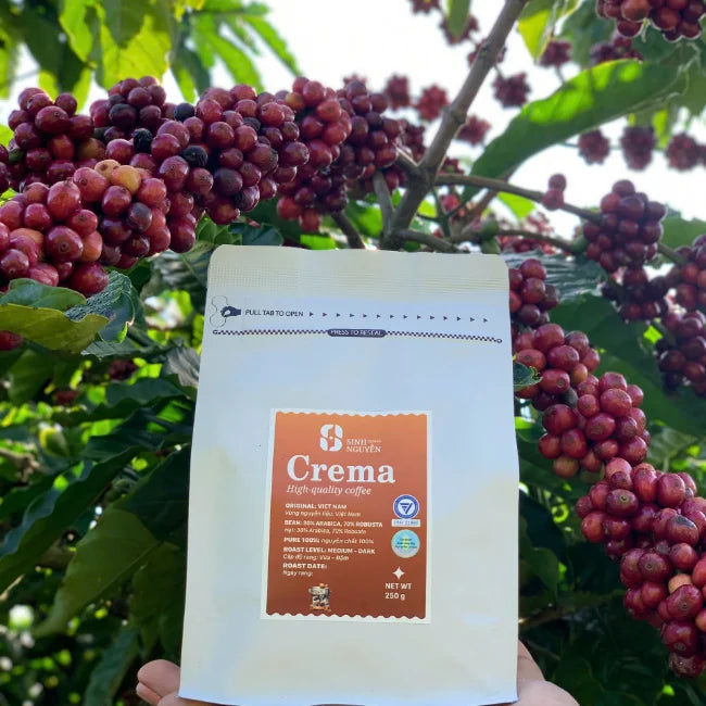 Sinh Nguyen Coffee 1kg CREMA Premium Robusta Full City Roast BITTER Taste for Espresso Lovers in Bag with Crema Wholesale Bulk