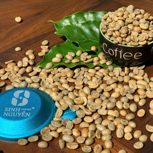 Arabica Green Coffee Beans Premium Honey Washed Process Fruity Sweet Aroma Vietnam 60kg Bag for Roasting Sinh Nguyen 24-Month