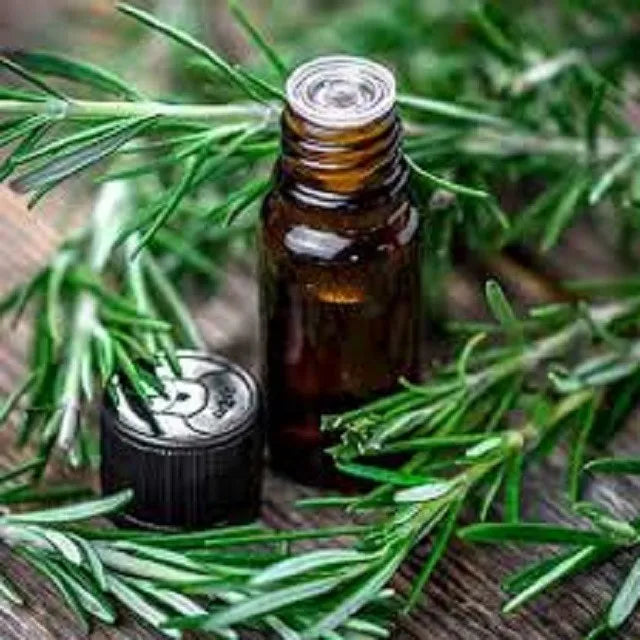 High Quality 100% Pure Fresh Rosemary Essential Oil Skin Revitalizer Supplied From India