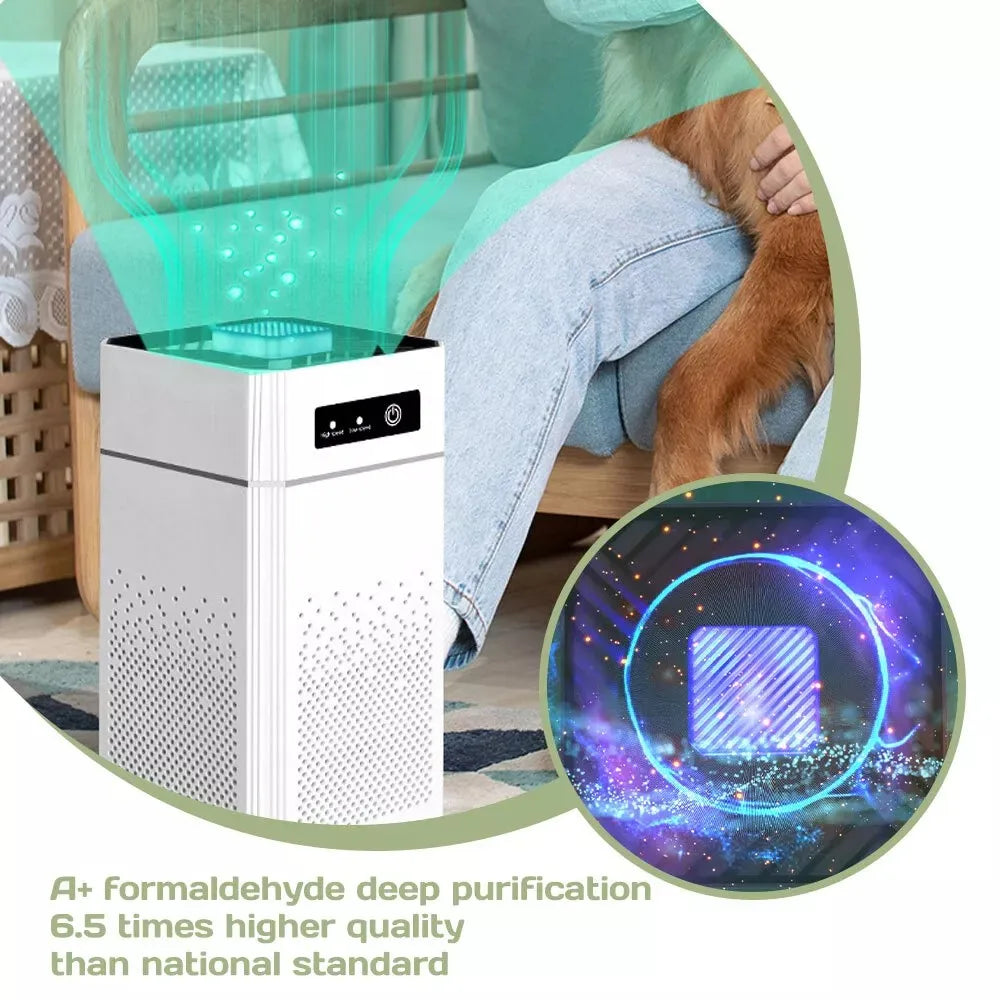 Home HEPA Air Purifier Large Room Air Cleaner for Dust Smoke Odor Pollen Pet Dander Allergies