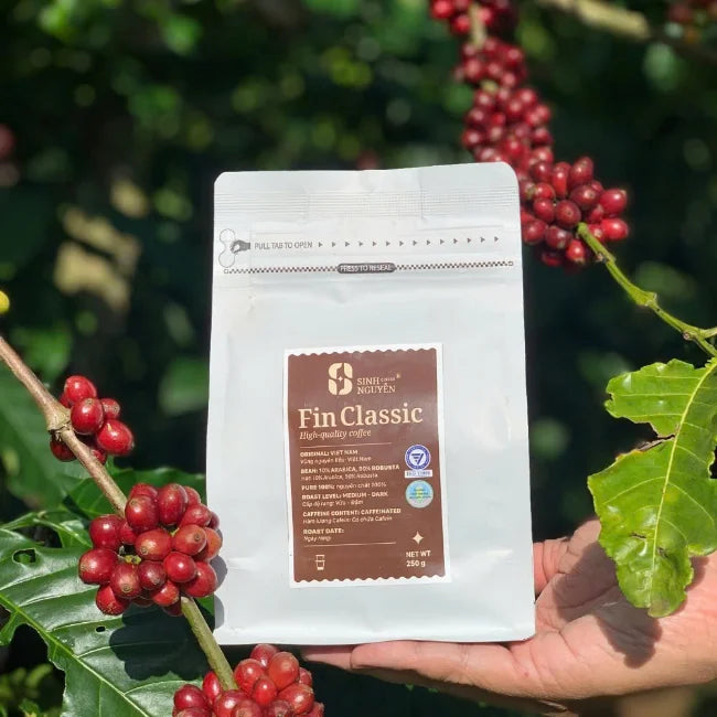 FIN CLASSIC Premium Vietnam Robusta & Arabica Whole Bean Coffee 1kg Medium Roast Sweet Bag Bulk Wholesale OEM Export