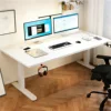 US Warehouse Electric Standing Desk 55x24 Height Adjustable Sit Stand Desk with Drawer Fast Delivery Ready to Ship