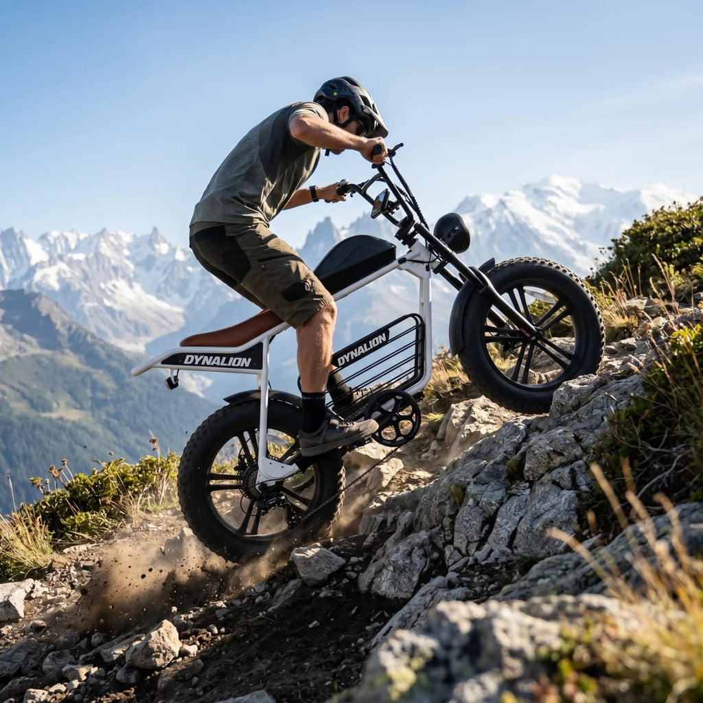 Electric Bicycle Fat Tire E Bike Dirt Electric City Electric Mountain Bike Electric Hybrid Bike Electric Road Bike