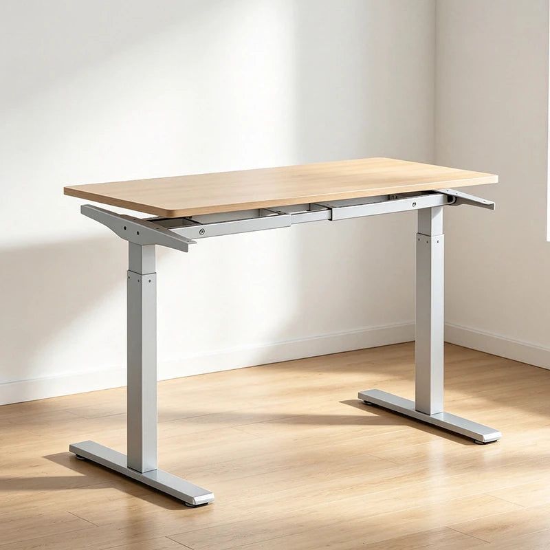 Ergonomic Height Adjustable Electric Standing Desk Load Capacity 120kg Flexispot Standing Desk