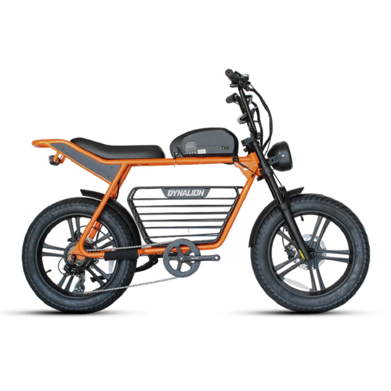 Dynavolt Electric Bicycle Electric Mountain Bike Electric Fat Tire Bike Removable Battery Long Range Dirt Ebike for Adults