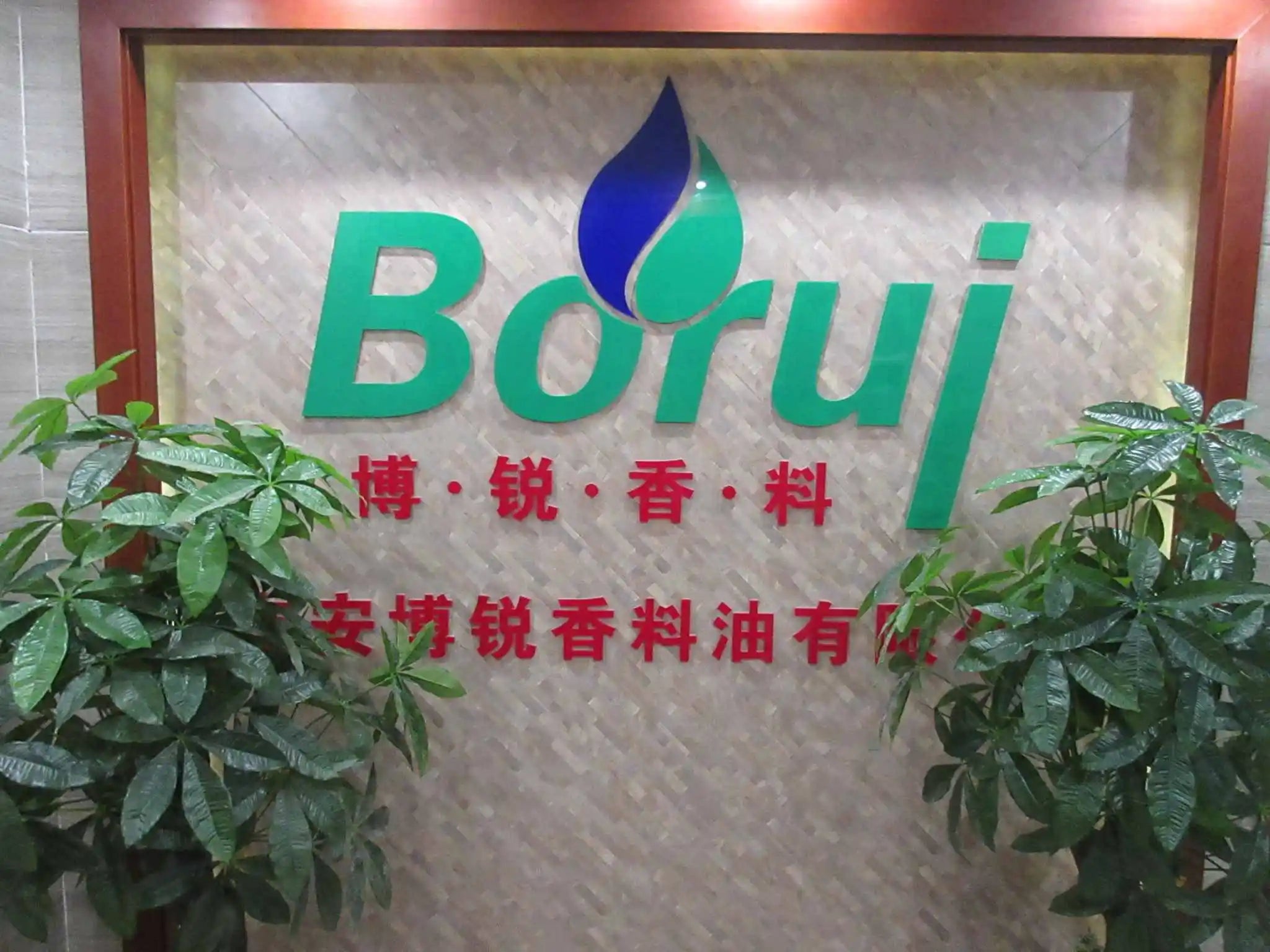 Top Grade 1kg Package Pure Sweat Basil Essential Oil Steam Distilled Borui Brand 24 Months Shelf Life Aromatherapy for Cosmetic