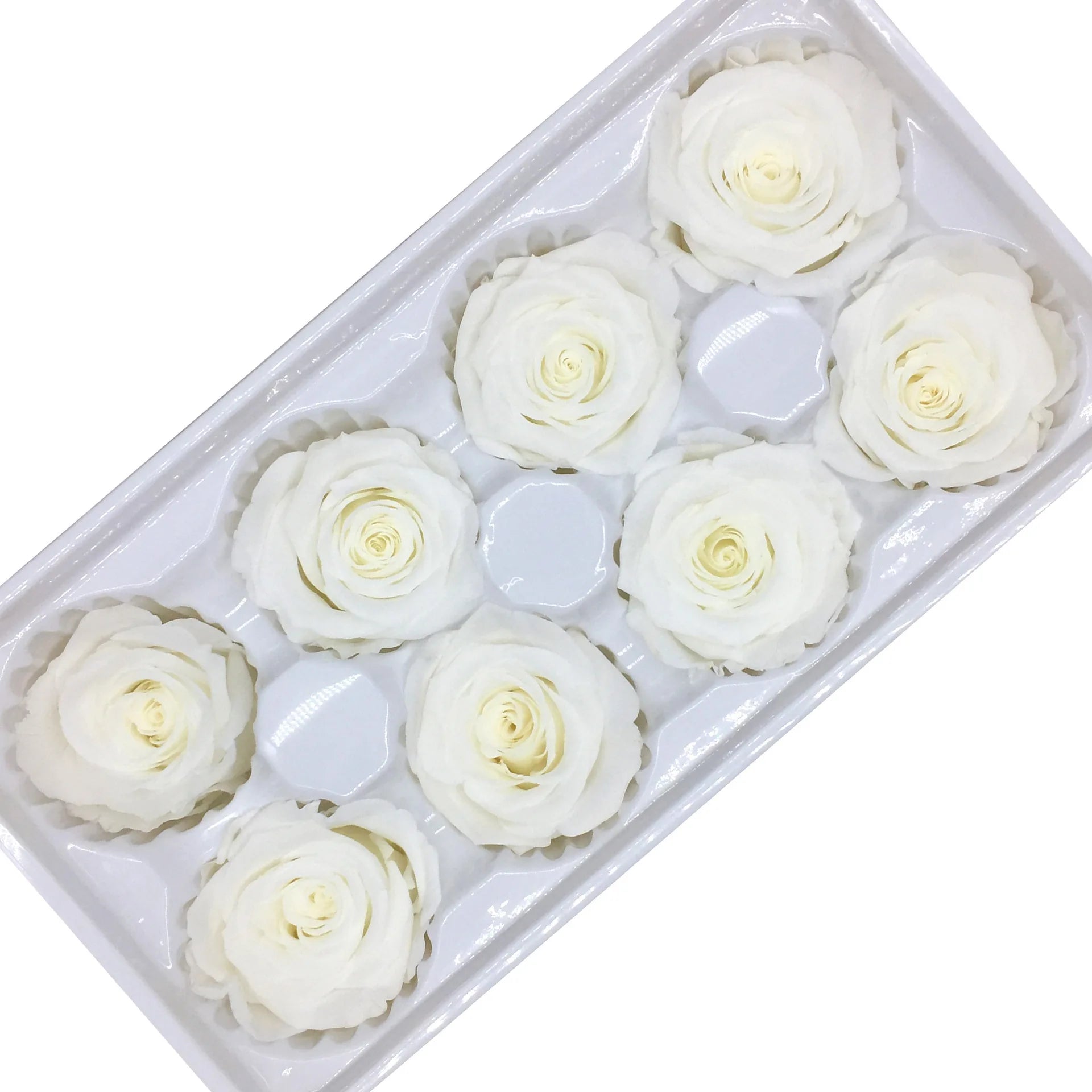 Factory Wholesale Preserved Rose Natural Flower Preserved Eternal Rose Heads Bud 4-5 cm in Bulk