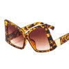 Cat Eye Sunglasses Big Frame Irregular Unusual Sunglasses Two Color Eyeglasses Frames Custom Nose Pad Eyeglasses
