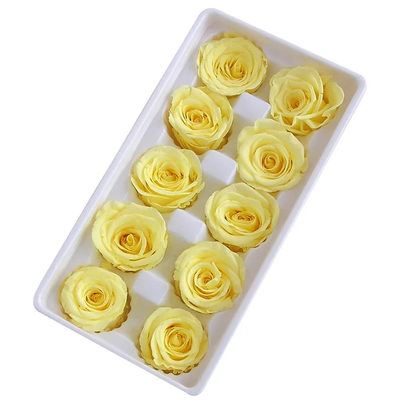 Factory Wholesale Preserved Rose Natural Flower Preserved Eternal Rose Heads Bud 4-5 cm in Bulk