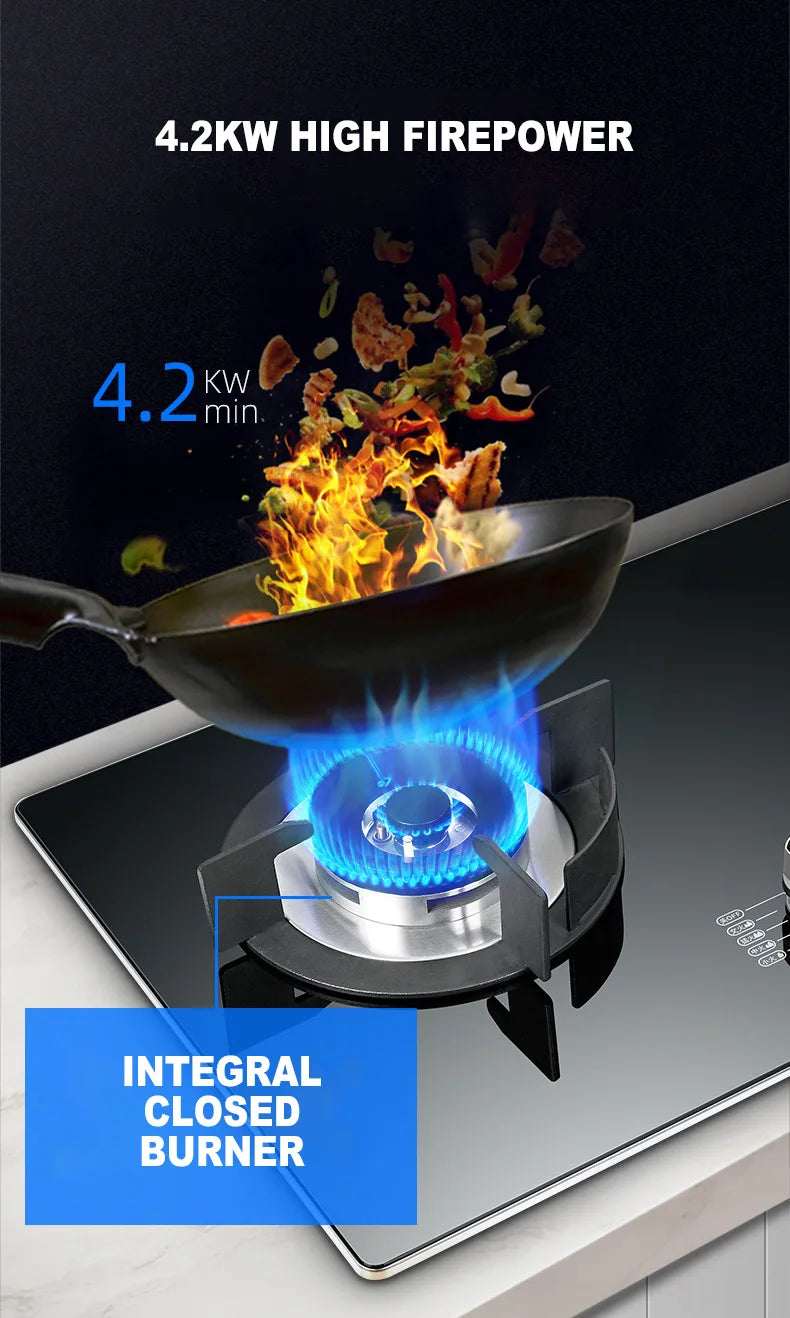 Tming Double Stove Cooktop Household Embedded Gas stove Built-in Liquefied Gas Stove Kitchen Cooking Machine