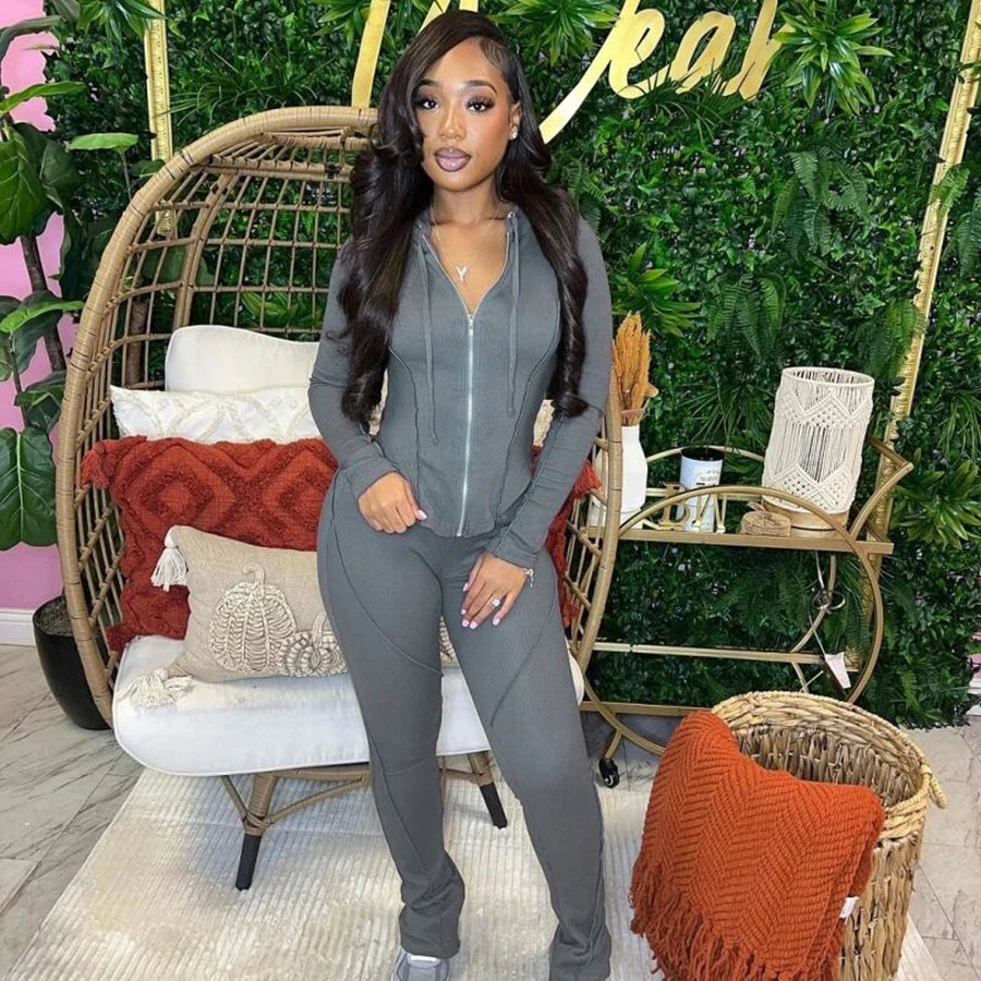 Custom Logo Spring Clothing Casual Women Zipper 2 Piece Set Women Solid Sweat Suit Hooded Women Tracksuit Set