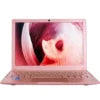 NEW Slim Silver Laptop 10.1 Inch IPS Panel Dual Core Intel N4000 8GB DDR4 128GB SSD English Keyboard Windows 10 1-Year Warranty