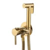 Brass Matt Black Round High Pressure Toilet Bidet Shower Head Sprayer Valve Faucet Set With 1.2m Hose Toilet Bidet Sprayer Set