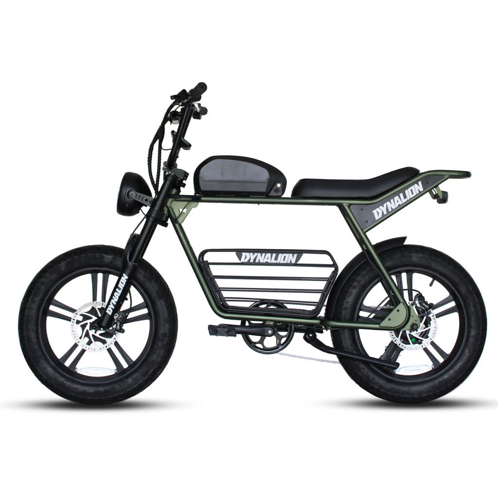 Dynavolt Electric Bicycle Electric Mountain Bike Electric Fat Tire Bike Removable Battery Long Range Dirt Ebike for Adults