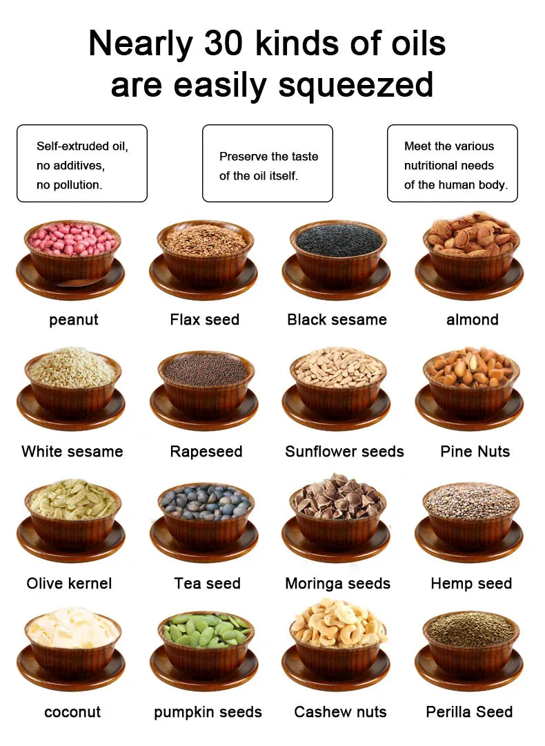 New Design 20KG/H Cold Press Oil Machine Peanut Sesame Sunflower Seed Peanut Cold Screw Oil Press Machine