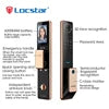 Locstar Electronic Tuya Wifi Golden Video 3D Face Recognition Digital Fingerprint Keyless Smart Door Lock for Aluminum Door