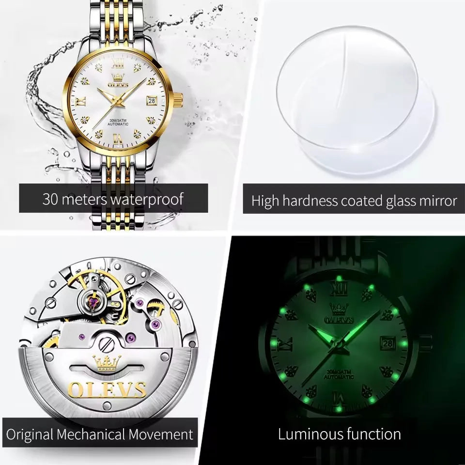 OLEVS 6673 Diamond Dial Mechanical Watch Women Simple Fashion Classic Calendar Women's Automatic Watch Luxury Ladies Watches