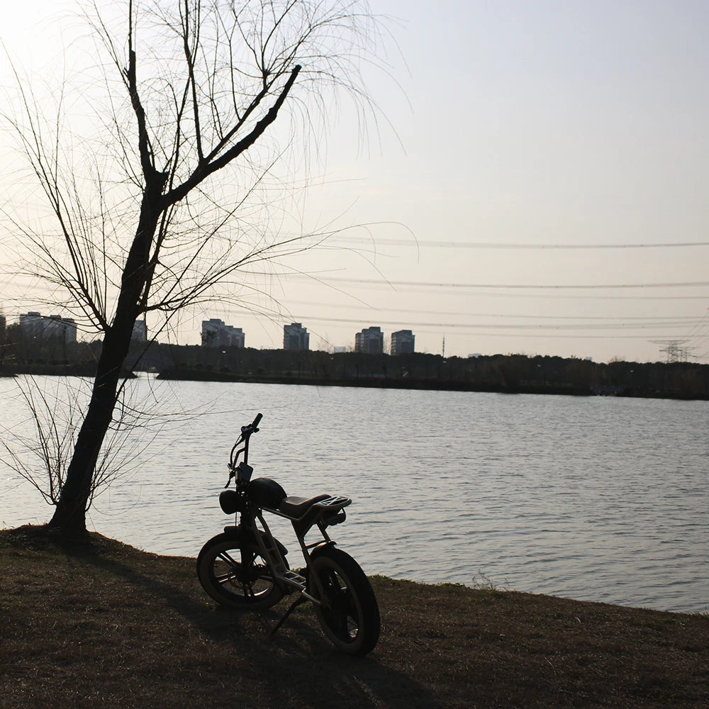 Dynavolt Electric Bicycle Electric Mountain Bike Electric Fat Tire Bike Removable Battery Long Range Dirt Ebike for Adults