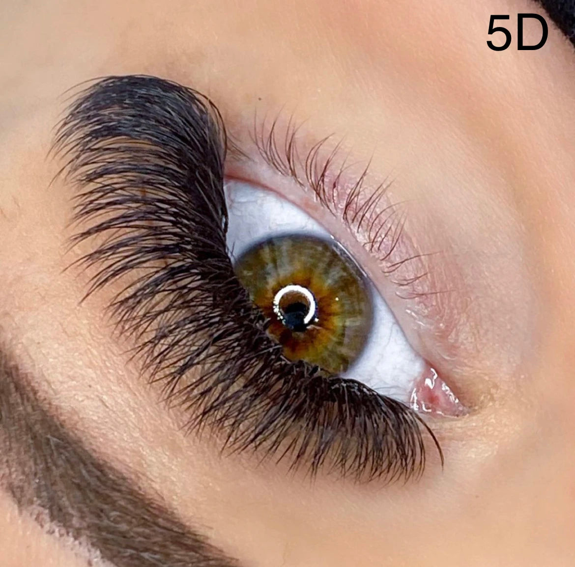 Premium Lash Extensions 0.07 d Curl Short Root Eyelashes Heat Bonded 4D 5D 6D 7D Premade Volume Fans