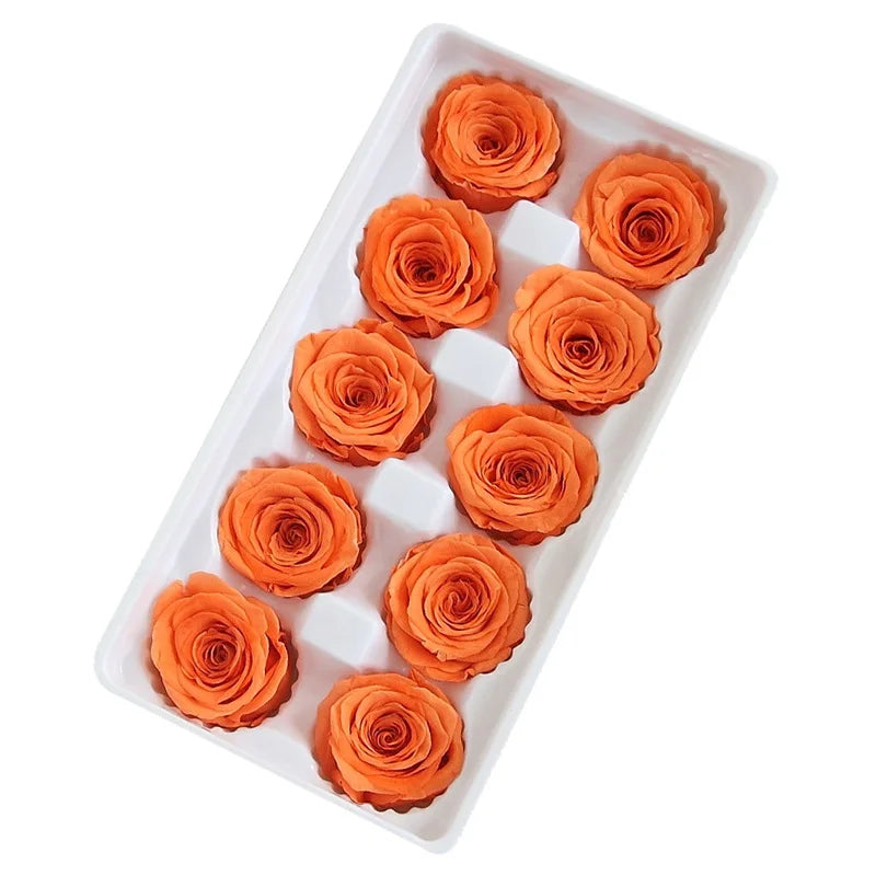 Factory Wholesale Preserved Rose Natural Flower Preserved Eternal Rose Heads Bud 4-5 cm in Bulk
