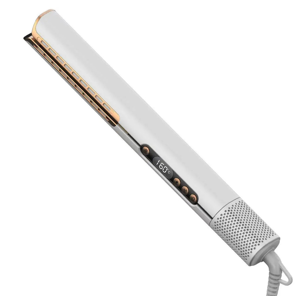 2 in 1 Multi Hair Styler Wet to Dry Fast Airflow Hair Straightener LED Display Electric Ceramic Plate for Household Use HT01