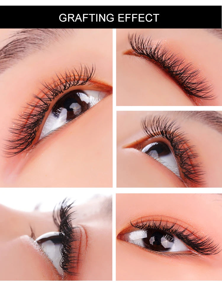E-young 2d Premade Lashes Volume Fans Short Stem C/D Curl 0.1mm Natural False Eyelashes Extensions Premade Fans Wholesale Makeup