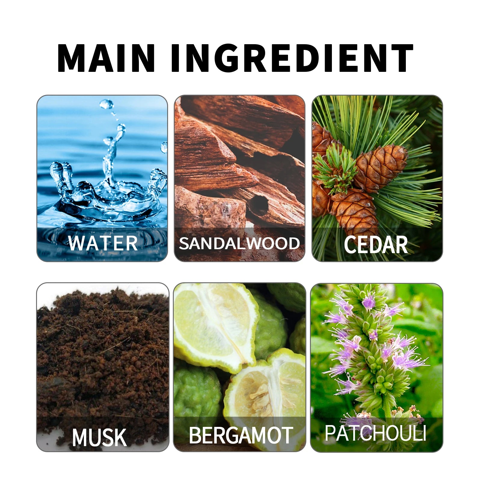50ml Attracting Magnetic Allure Perfume Long Lasting USA Stock OEM