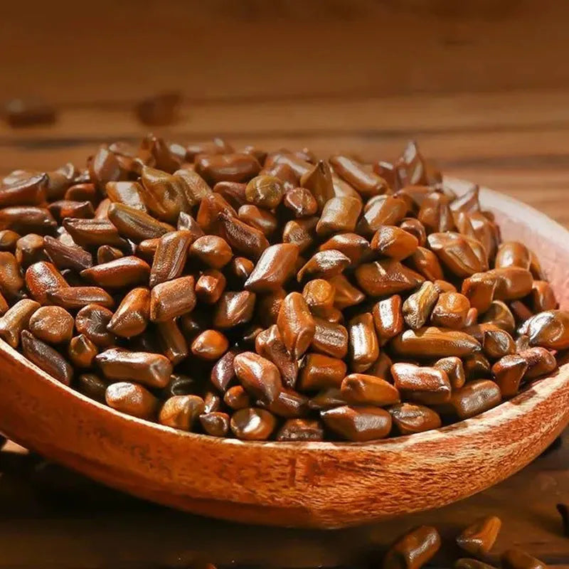 Wholesale Bulk High Quality Natural Dried Herbs Tea Jue Ming Zi Cassia Seed Tea Senna Tora Seeds