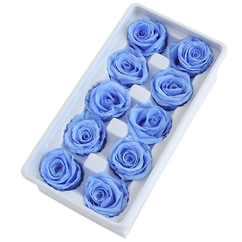 Factory Wholesale Preserved Rose Natural Flower Preserved Eternal Rose Heads Bud 4-5 cm in Bulk