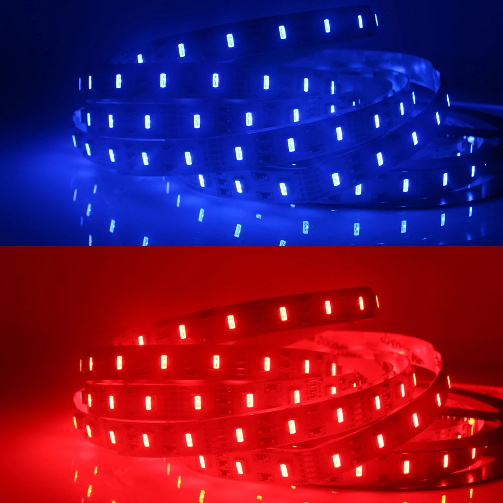 5in1 RGB CCT Led Strip Light 5m 10m 050 SMD 5 in 1 RGBW RGB+CCT CW+RGB+WW Super Bright Flexible LED Tape Lights 6pin 24V