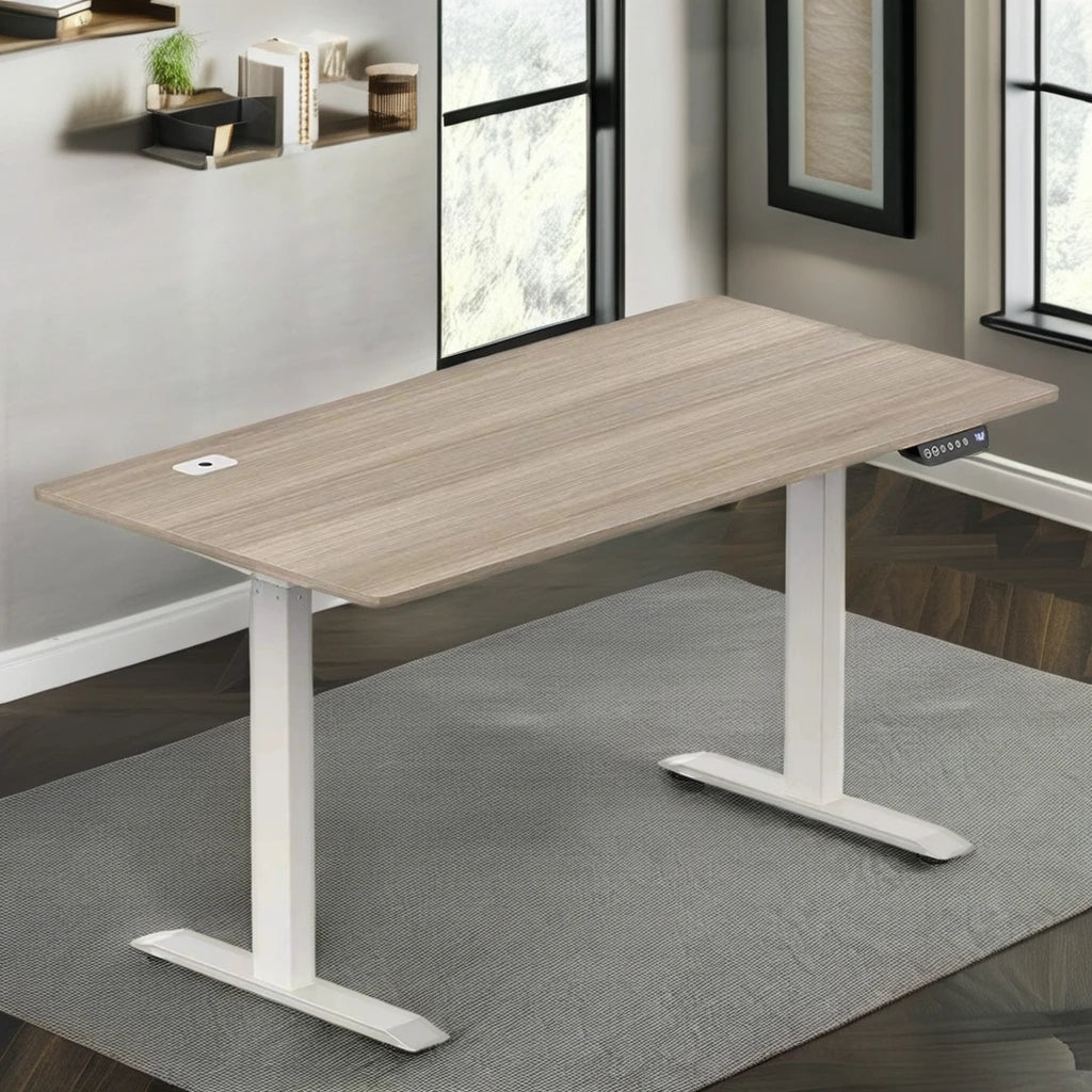Ergonomic Height Adjustable Electric Standing Desk Load Capacity 120kg Flexispot Standing Desk