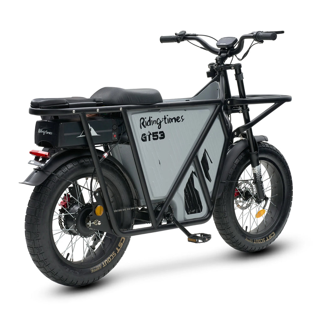 EU US Warehouse Electric Fat Tire Mountain Bike 2000w 25 Inch Off-road Motorcycle Tire 48V Cargo Electric Bike Motorcycles