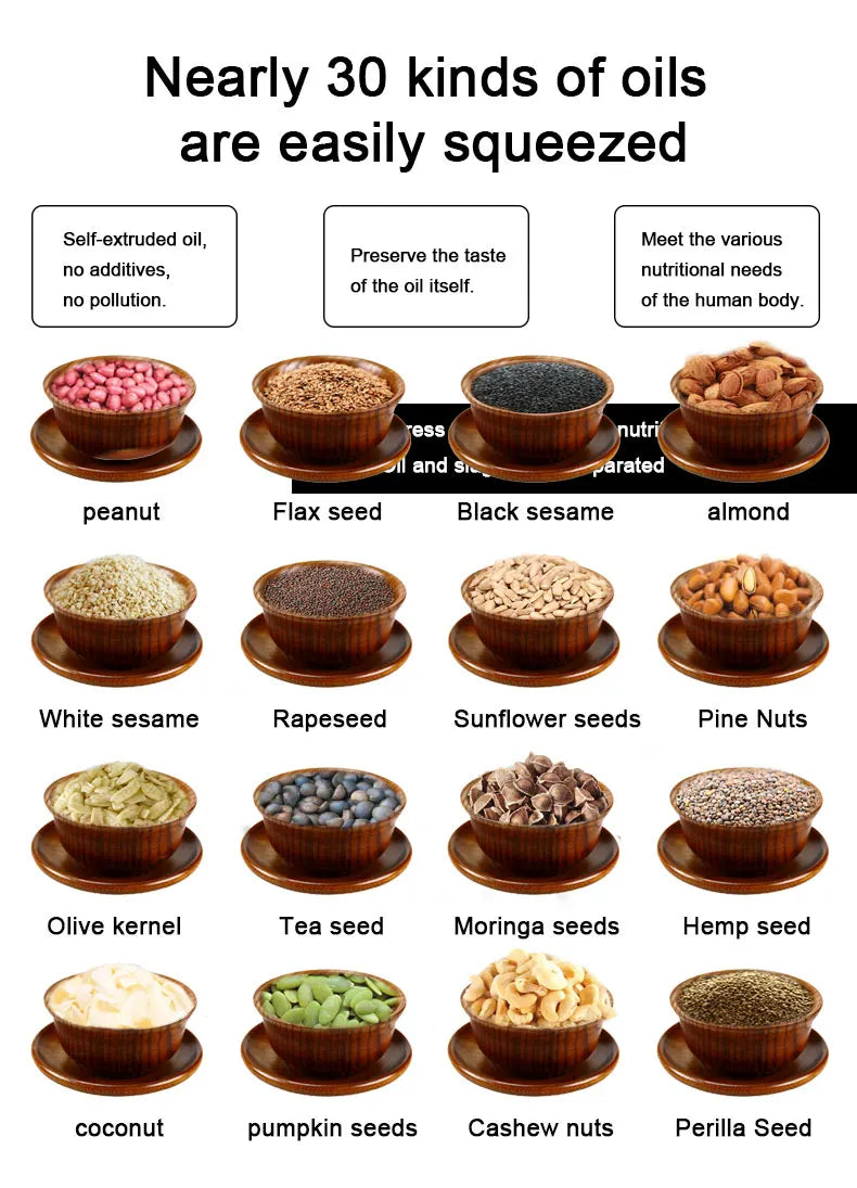 New Design 20KG/H Cold Press Oil Machine Peanut Sesame Sunflower Seed Peanut Cold Screw Oil Press Machine