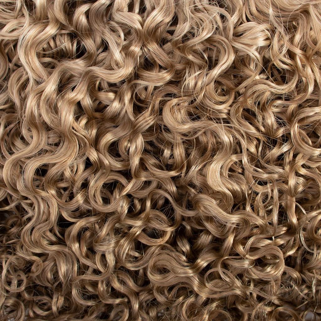 Burmese Raw Curly Hair P4-16-27 Seamless Clip in 100% Raw Cuticle Aligend Invisible Seamless Clip Ins Human Hair